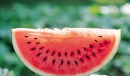 娱乐吃瓜酱如何跑出大山,从大山深处到网红之路的逆袭传奇